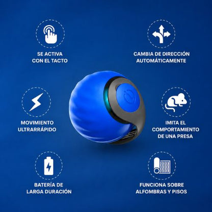 Speedy Tail: Juguete Interactivo para Gatos