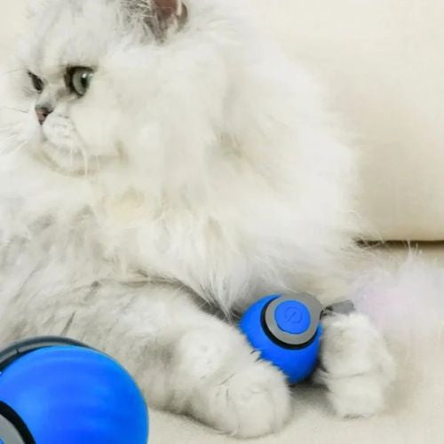 Speedy Tail: Juguete Interactivo para Gatos